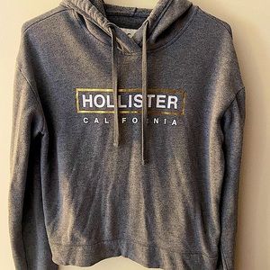 Gray Hollister Hoodie DISCOUNTED SHIPPING